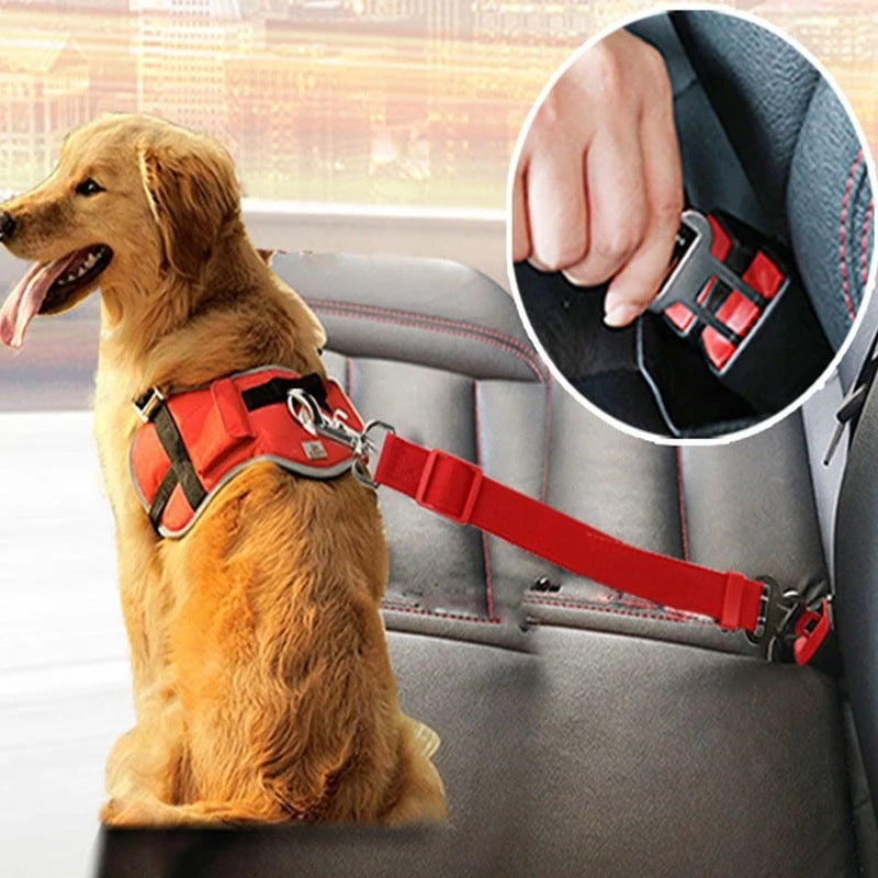 Dog Car Seat Belt – Safe Rides, Happy Pets